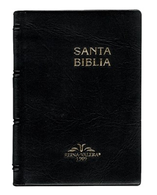 Biblia Reina Valera RVR1909 (Vinil) [Biblia Compacta]