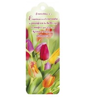 Separador 3D Proverbios 31:30 Tulipanes (Plástico) [Regalos]