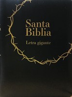 Bilbia RVR085cZLGi Negro Canto Dorado (Rústica) [Biblias]